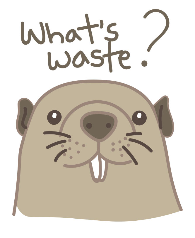 What is waste?